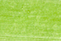 A swatch of Mettler Silk Finish 50 Thread Bright Lime Green 1528