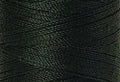 A swatch of Mettler Silk Finish 50 Thread Enchanting Forest 0846